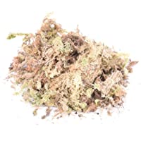 Adore store Fertilizantes 1Pack 12L Sphagnum seco Musgo Jardín Hidratación Nutrición Orgánica para orquídea Phalaenopsis…